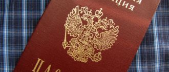 Как узнать паспортные данные паспорта гражданина РФ