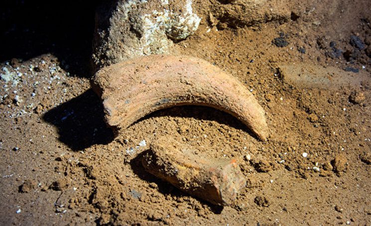 Кости древних животных в карстовой пещере в Крыму