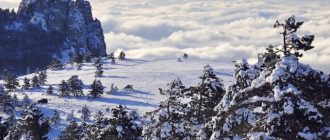 Новогодние праздники в Крыму